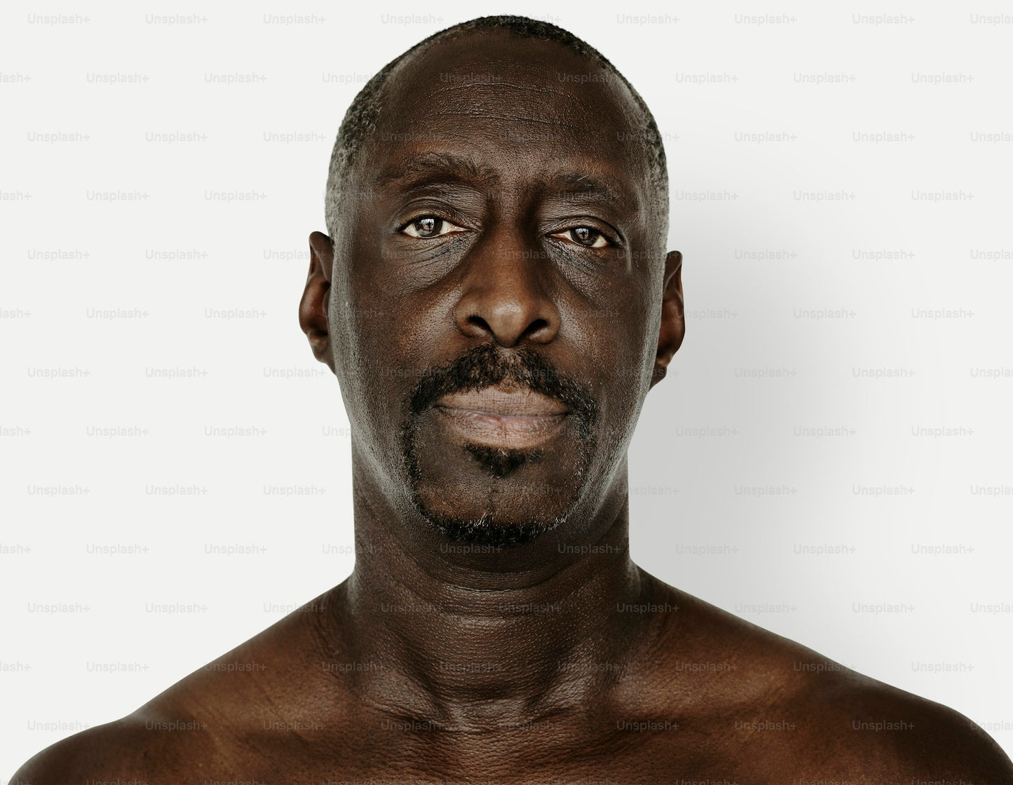Premium Nigger